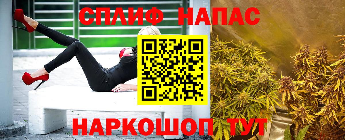 Каннабис тримм  Конопля план  Вход с VPN  Тара  Бошки марихуана SATIVA & INDICA 